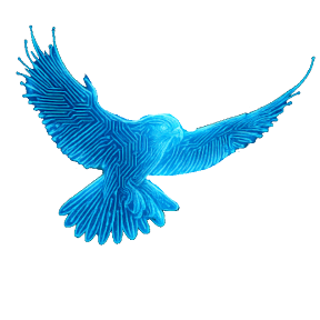 Cyberhawk Logo